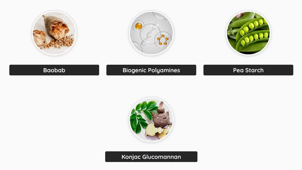 DigestSync-ingredients