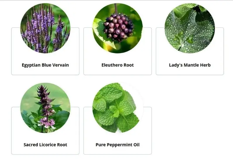 MannaFlux Ingredients MannaFlux Ingredients
